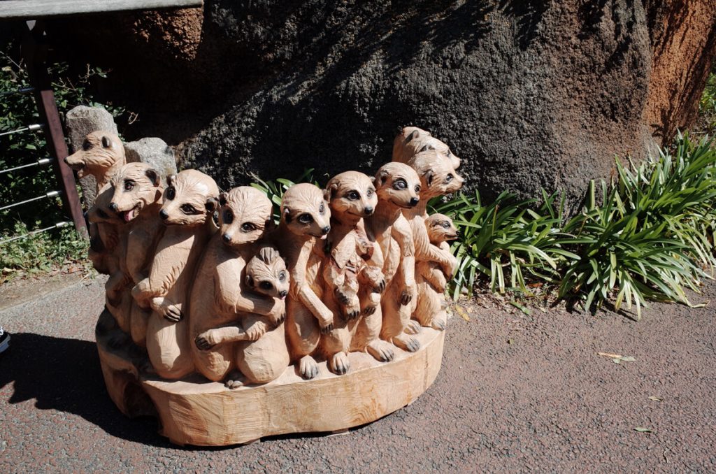 미어캣